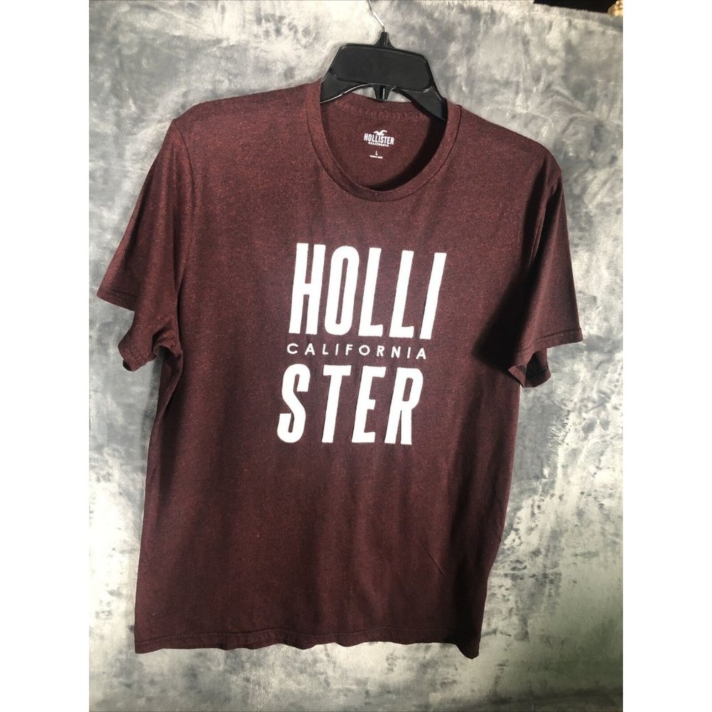 Hollister T Shirt Men Size Adult Large Shirt